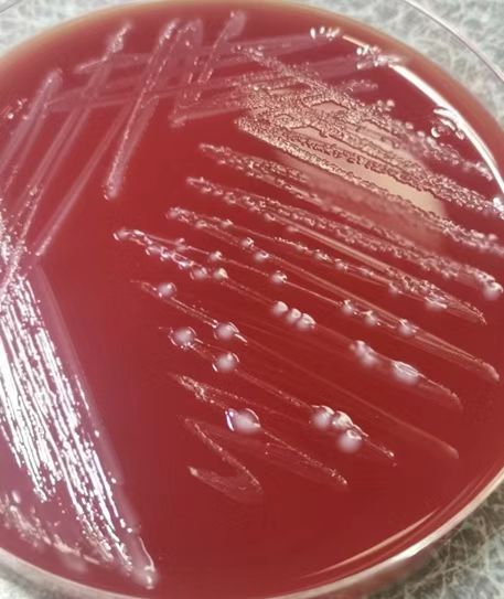 5ffce8223b22ac34a6806a8e8d87069