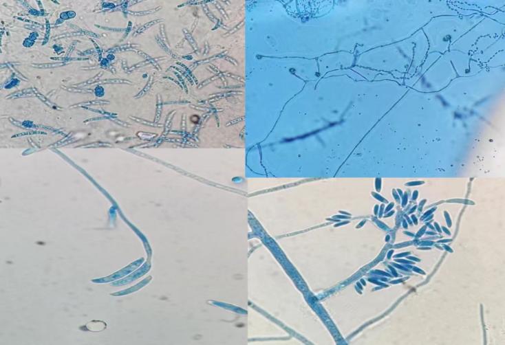 46d448a663478938f629b20cc952c98