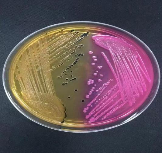 973d8388502be2645d05e7b7a55e1b4